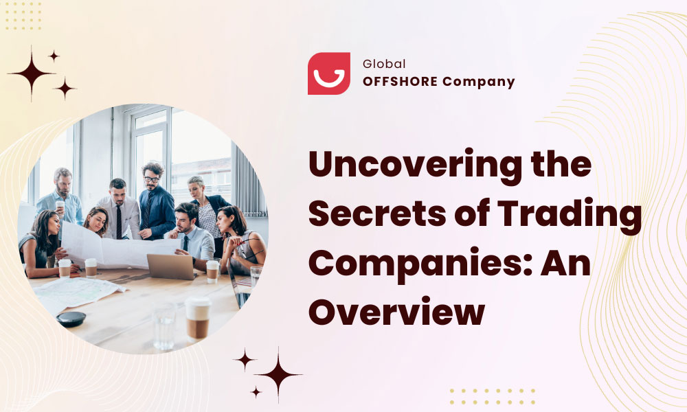 Uncovering the Secrets of Trading Companies: An Overview